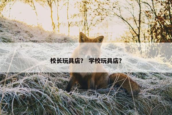 校长玩具店？ 学校玩具店？