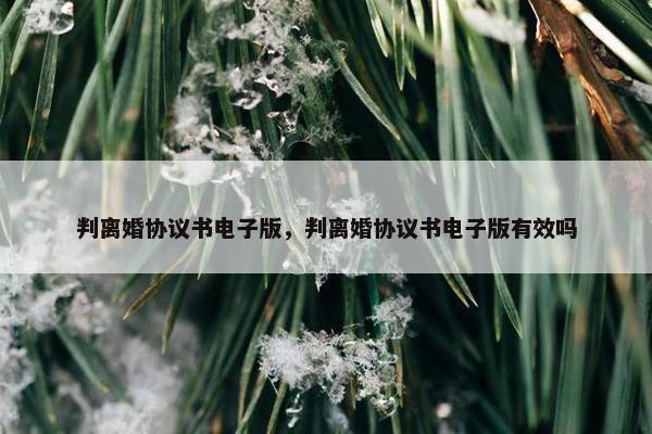 判离婚协议书电子版，判离婚协议书电子版有效吗