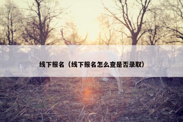 线下报名（线下报名怎么查是否录取）