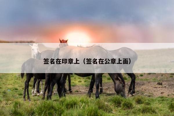 签名在印章上（签名在公章上面）