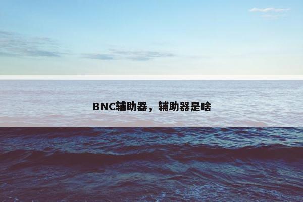 BNC辅助器，辅助器是啥