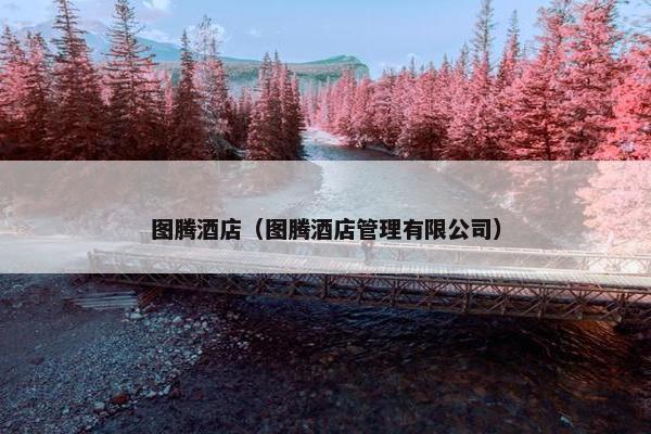 图腾酒店（图腾酒店管理有限公司）