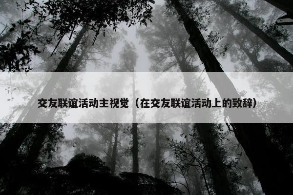 交友联谊活动主视觉（在交友联谊活动上的致辞）