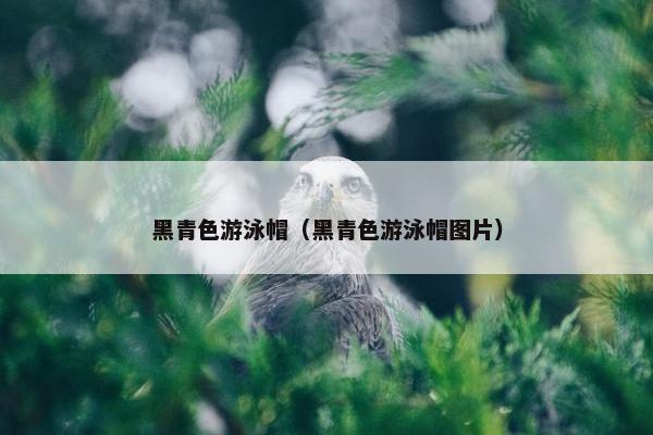 黑青色游泳帽（黑青色游泳帽图片）