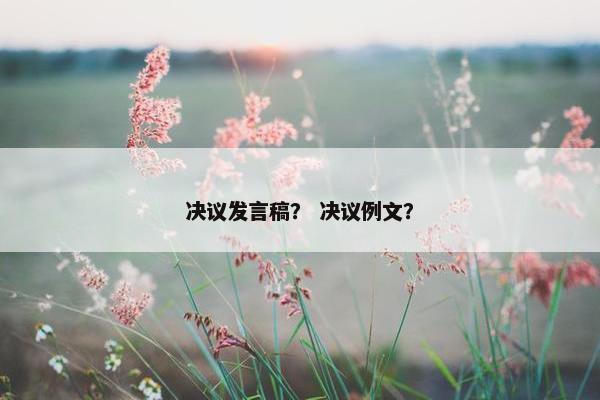 决议发言稿？ 决议例文？
