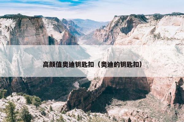 高颜值奥迪钥匙扣（奥迪的钥匙扣）
