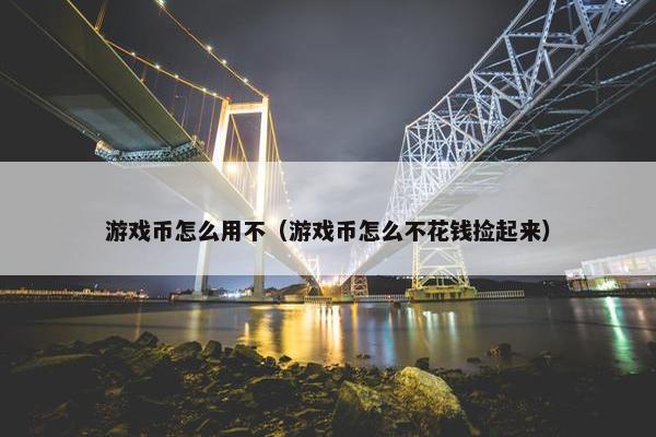 游戏币怎么用不（游戏币怎么不花钱捡起来）