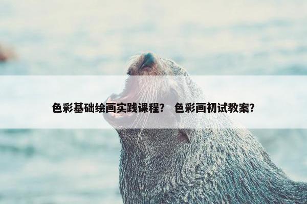 色彩基础绘画实践课程？ 色彩画初试教案？