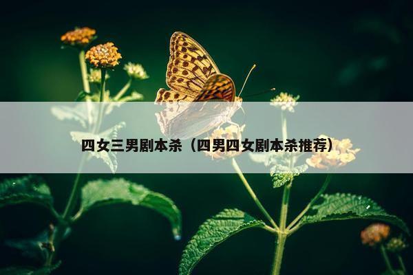四女三男剧本杀（四男四女剧本杀推荐）