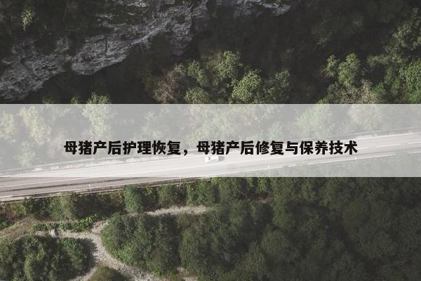 母猪产后护理恢复，母猪产后修复与保养技术