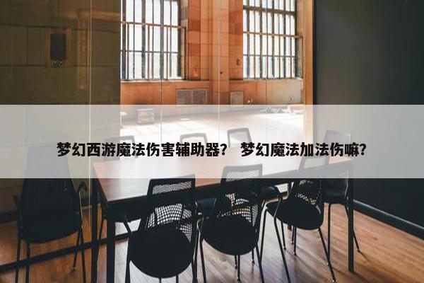 梦幻西游魔法伤害辅助器？ 梦幻魔法加法伤嘛？