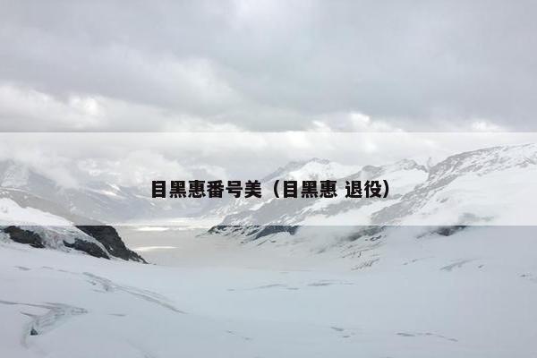 目黑惠番号美（目黑惠 退役）