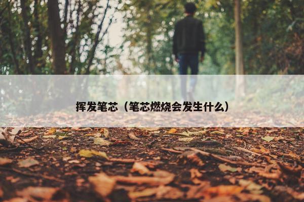 挥发笔芯（笔芯燃烧会发生什么）