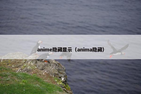 anime隐藏显示（anima隐藏）