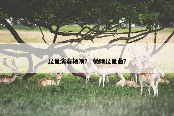 琵琶演奏杨靖？ 杨靖琵琶曲？