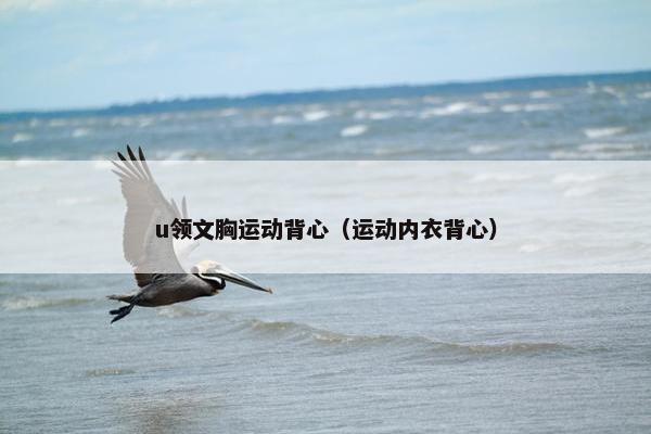 u领文胸运动背心（运动内衣背心）
