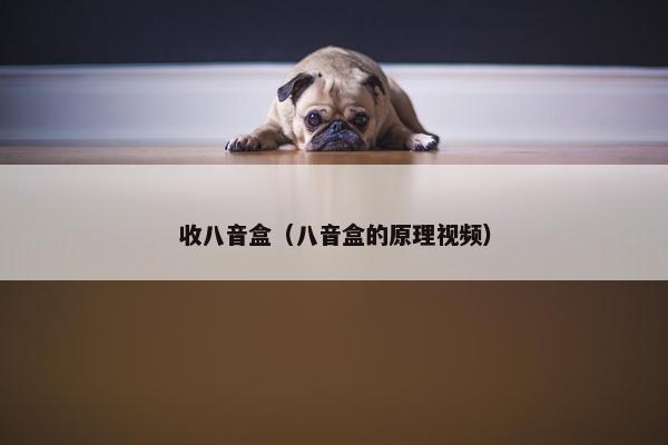 收八音盒（八音盒的原理视频）