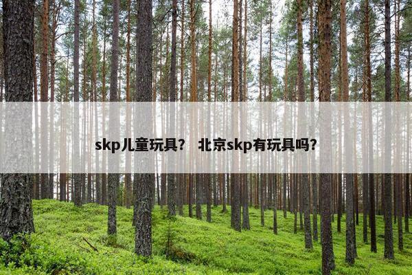 skp儿童玩具？ 北京skp有玩具吗？