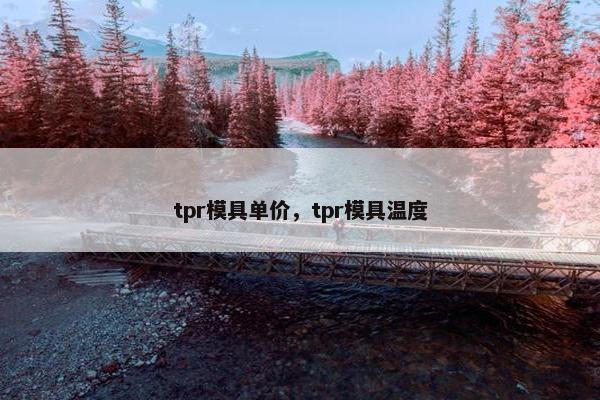 tpr模具单价，tpr模具温度