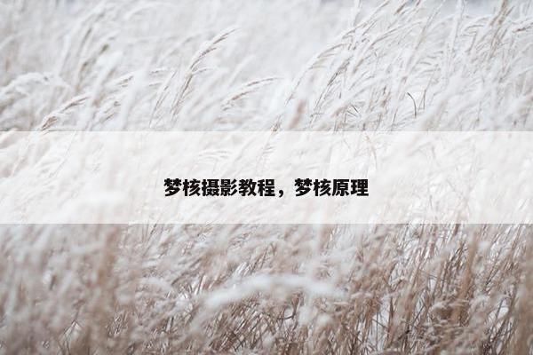 梦核摄影教程，梦核原理