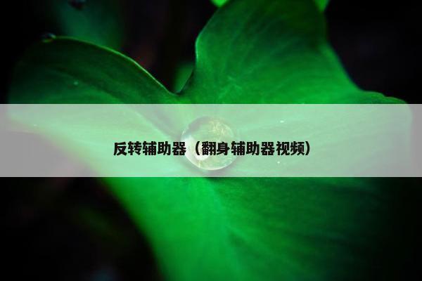 反转辅助器（翻身辅助器视频）