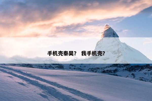 手机壳秦昊？ 我手机壳？