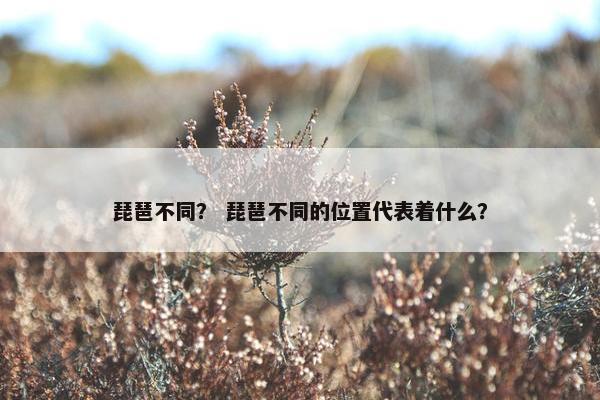 琵琶不同? 琵琶不同的位置代表着什么? 琵琶不同? 琵琶不同的位置代表着什么?