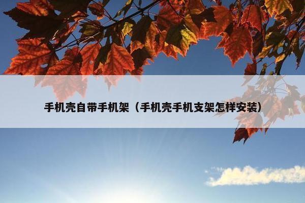 手机壳自带手机架(手机壳手机支架怎样安装) 手机壳自带手机架(手机壳手机支架怎样安装)