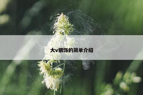 大v银饰的简单介绍