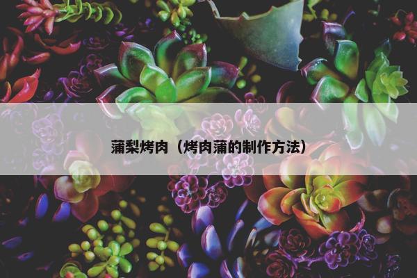 蒲梨烤肉（烤肉蒲的制作方法）