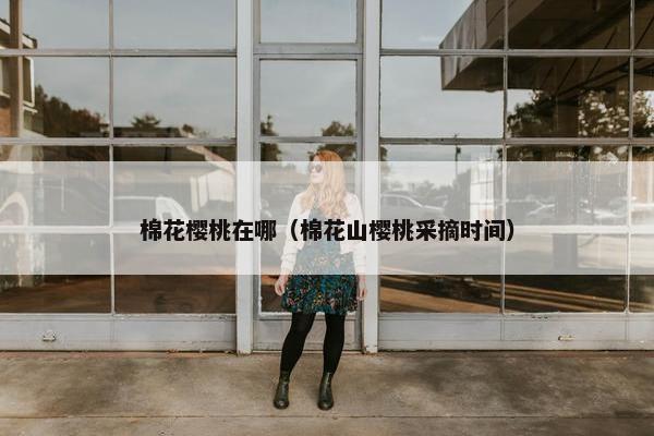 棉花樱桃在哪（棉花山樱桃采摘时间）