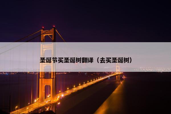 圣诞节买圣诞树翻译（去买圣诞树）