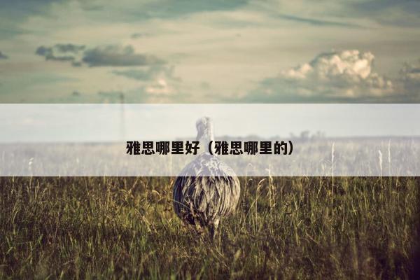 雅思哪里好（雅思哪里的）