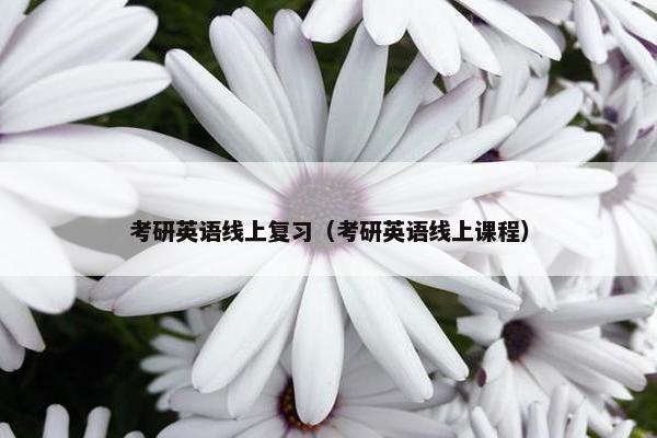 考研英语线上复习（考研英语线上课程）