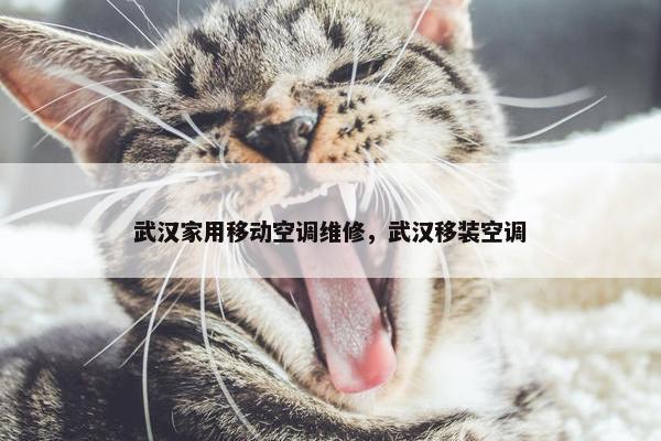 武汉家用移动空调维修，武汉移装空调
