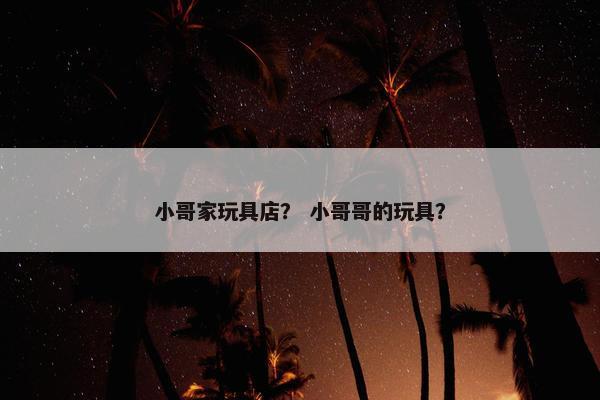 小哥家玩具店？ 小哥哥的玩具？
