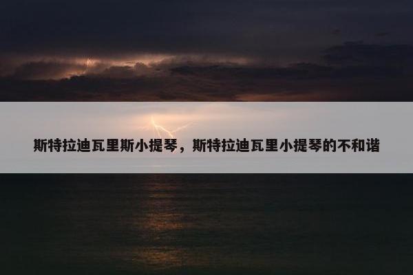 斯特拉迪瓦里斯小提琴，斯特拉迪瓦里小提琴的不和谐