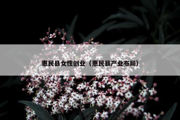 惠民县女性创业（惠民县产业布局）