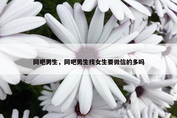 网吧男生,网吧男生找女生要微信的多吗 网吧男生,网吧男生找女生要微信的多吗