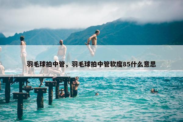 羽毛球拍中管，羽毛球拍中管软度85什么意思