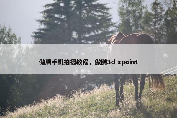 傲腾手机拍摄教程，傲腾3d xpoint