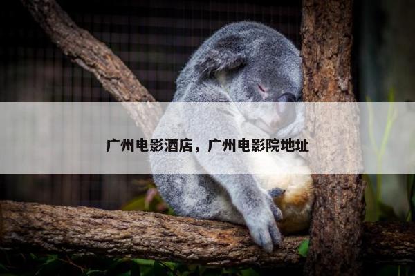 广州电影酒店，广州电影院地址