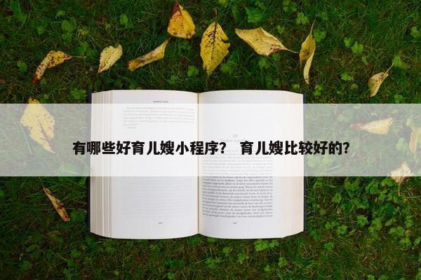 有哪些好育儿嫂小程序？ 育儿嫂比较好的？