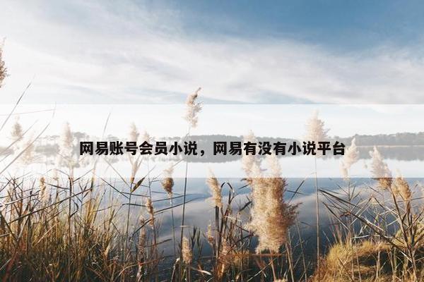 网易账号会员小说，网易有没有小说平台