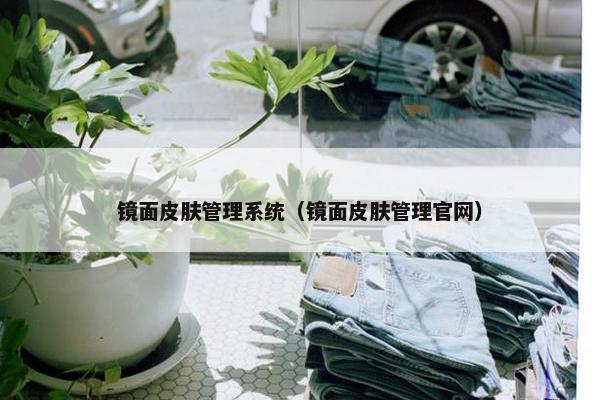 镜面皮肤管理系统（镜面皮肤管理官网）