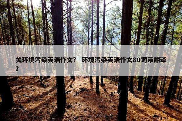 关环境污染英语作文？ 环境污染英语作文80词带翻译？