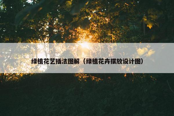 绿植花艺插法图解（绿植花卉摆放设计图）