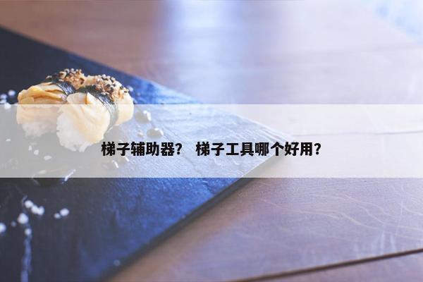梯子辅助器？ 梯子工具哪个好用？