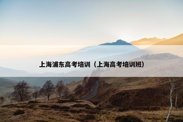 上海浦东高考培训（上海高考培训班）