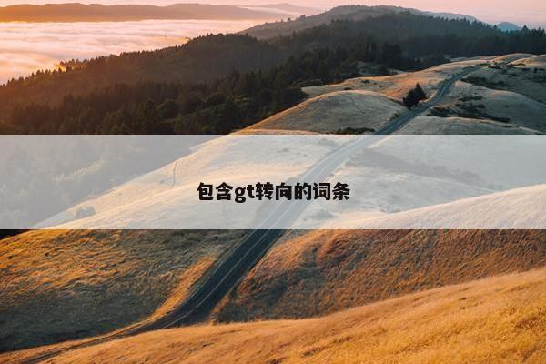 包含gt转向的词条